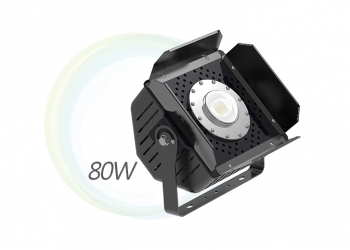 LED Spot Light PJ 80W